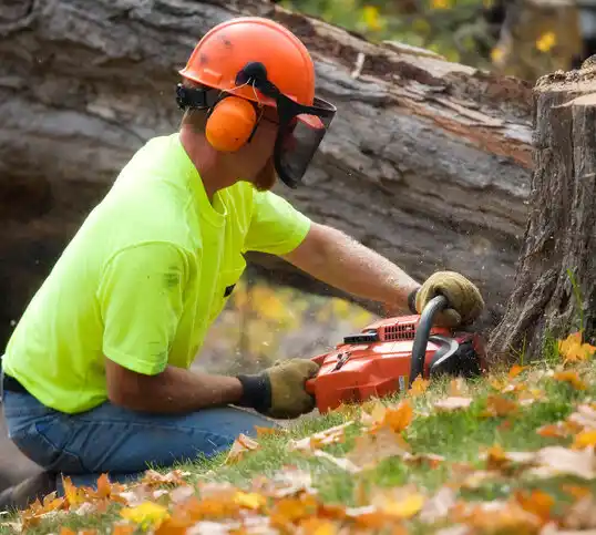 tree services Milnor